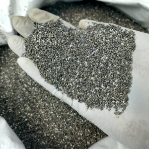 Chiya seed 500 Gm